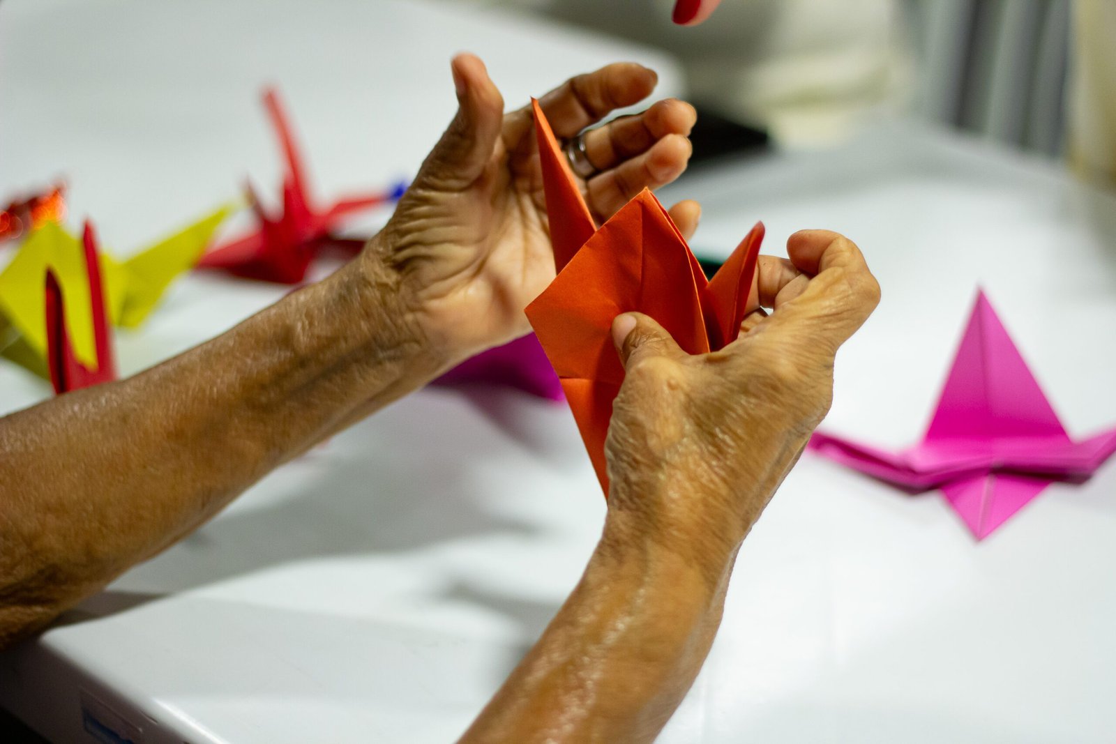 Cópia de Faz a Conta - 01_12 - Manhã (Caxias)-38